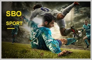 sport-sbo.webp - bingo8 online casino